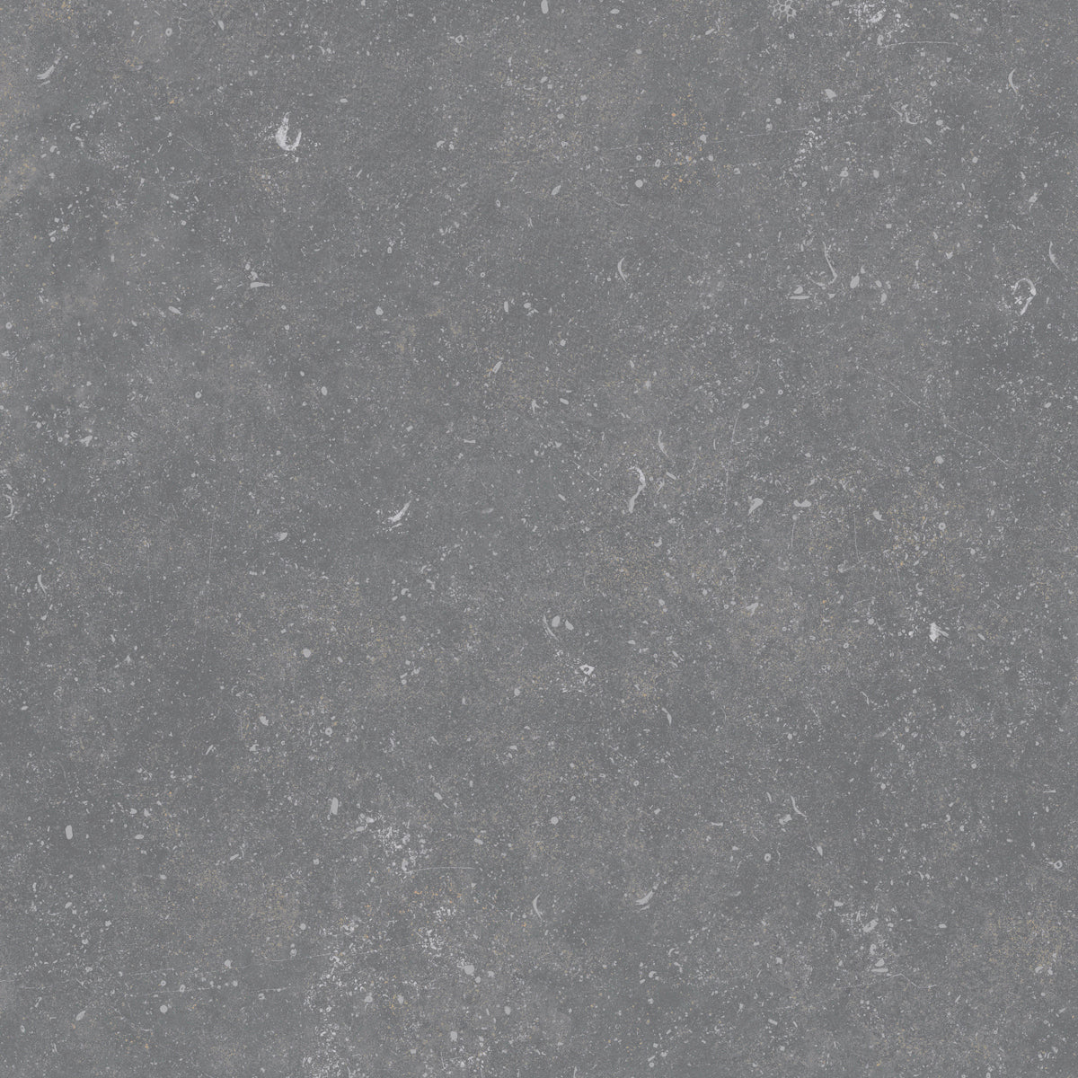 Belgium Stone Grey 60x60 rect