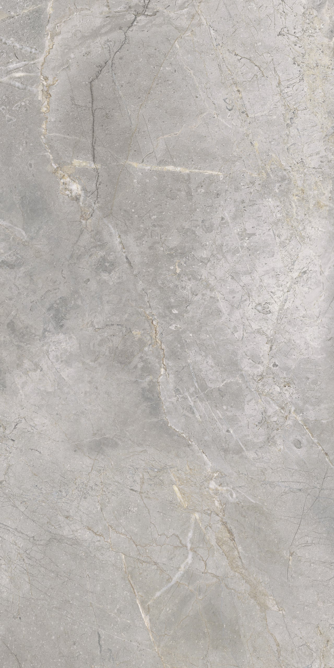 Masterstone Silver 60x120 rect