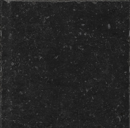 Vloertegel Belgium Stone Black Anticato 60x60 rect