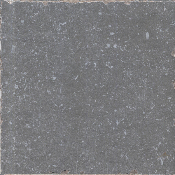 Vloertegel Belgium Stone Grey Anticato 60x60 rect