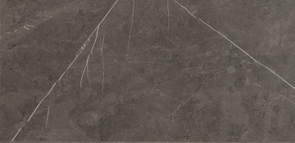 Vloertegel Dover Luxy Poli 30x60 rect