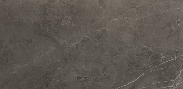 Vloertegel Dover Luxy Poli 30x60 rect