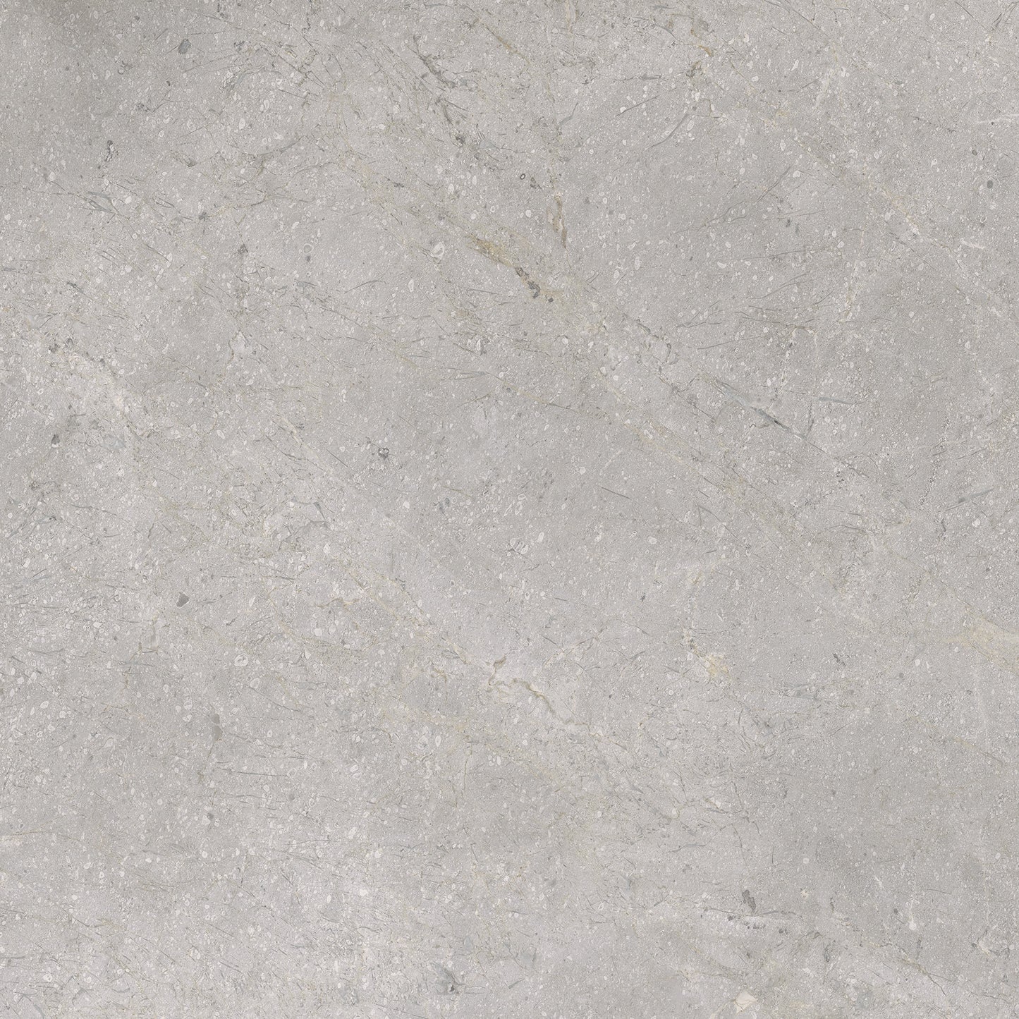 Vloertegel Masterstone silver 60x60 rect
