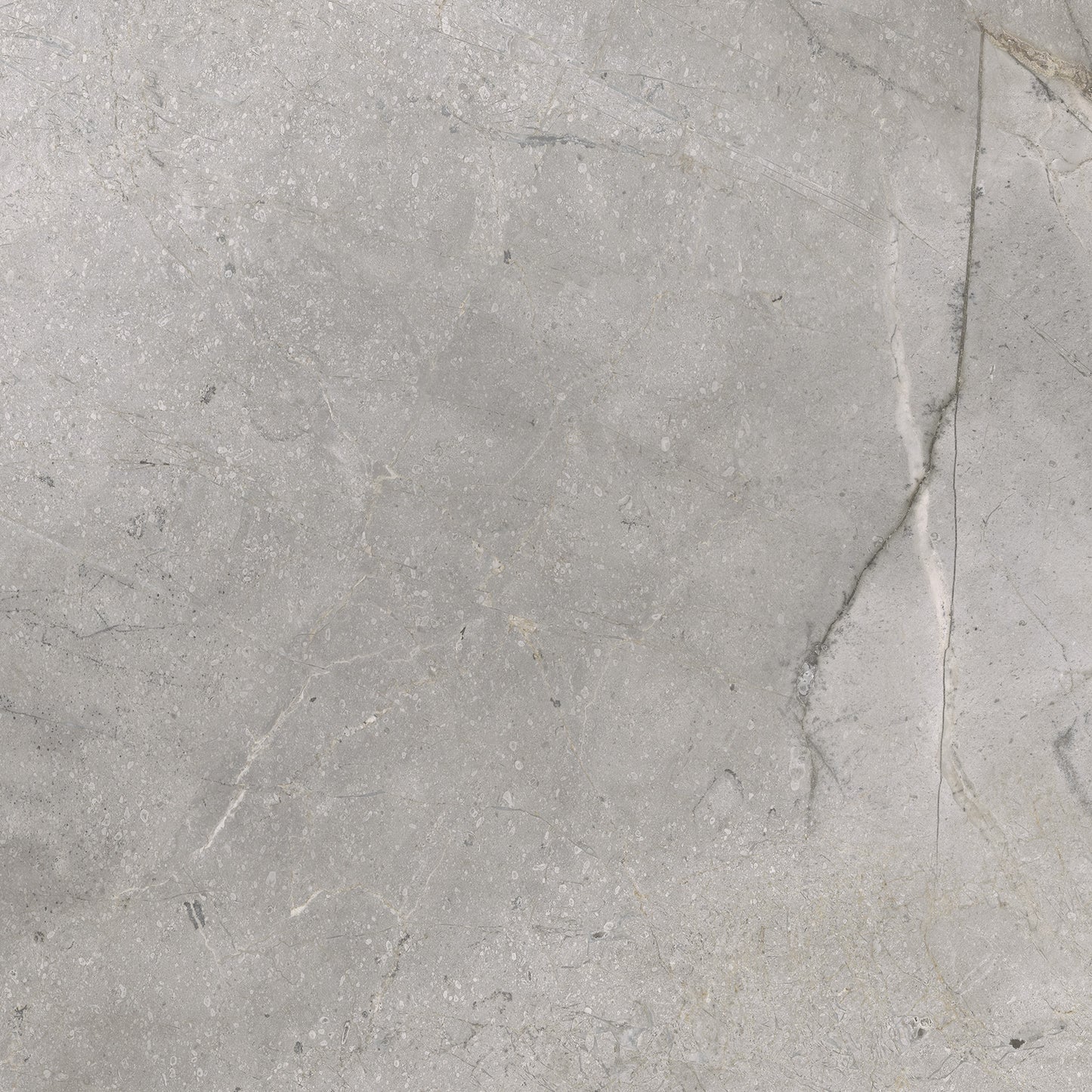 Vloertegel Masterstone silver 60x60 rect