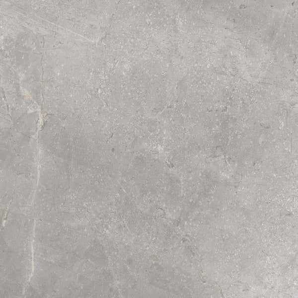 Vloertegel Masterstone silver 60x60 rect
