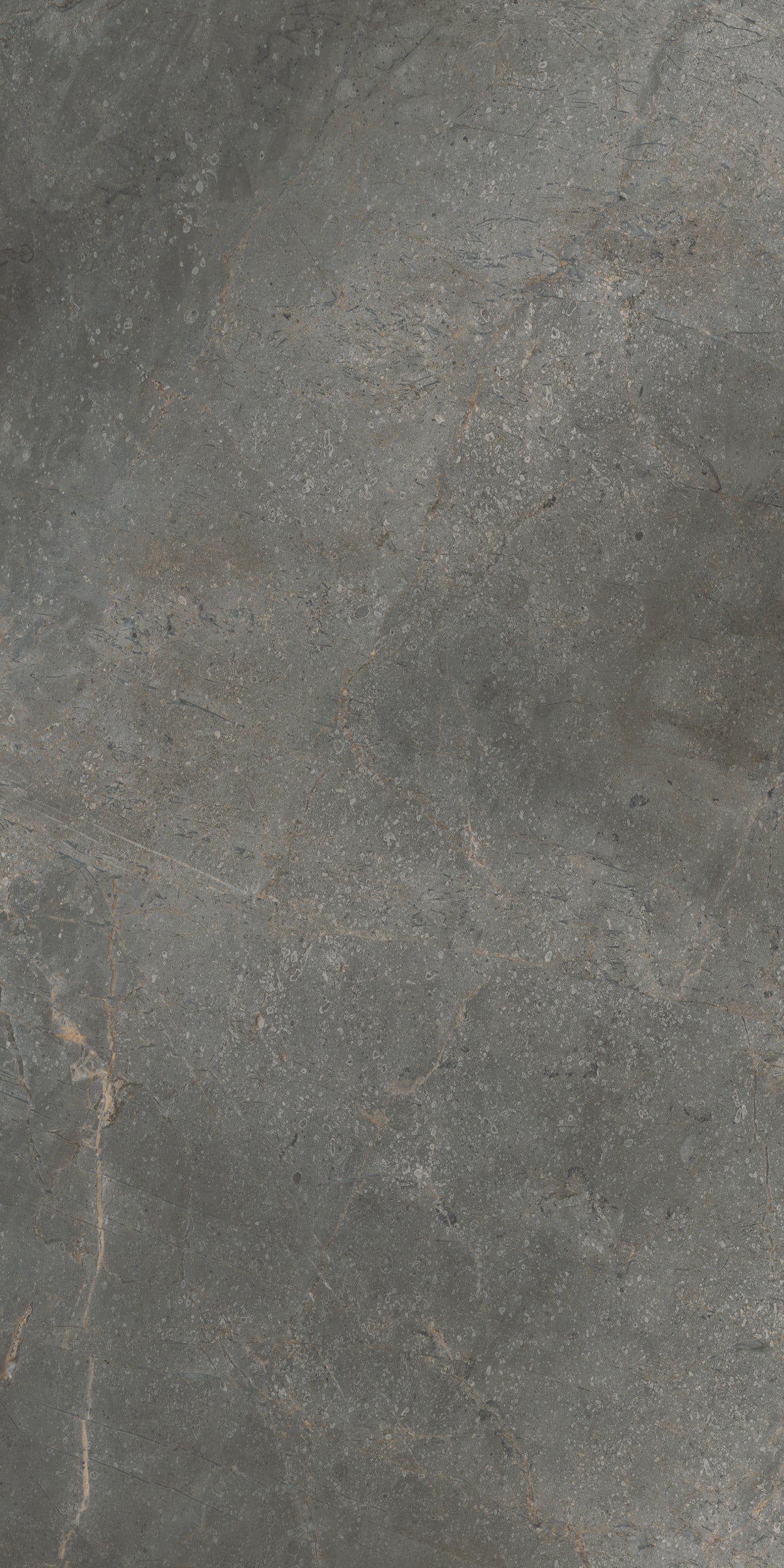 Vloertegel Masterstone Graphite 60x120 rect