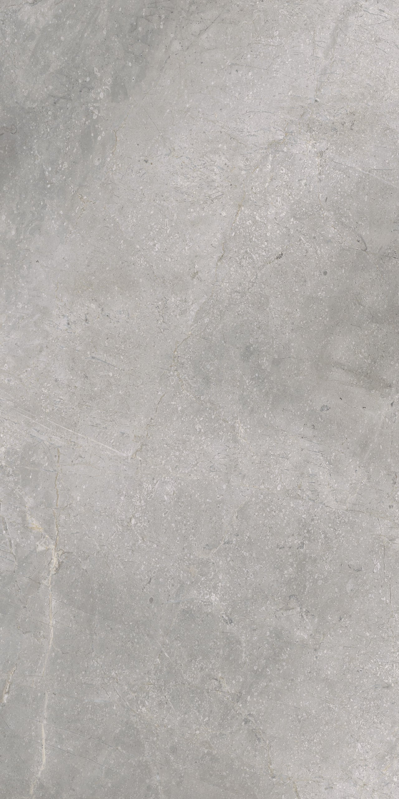 Masterstone Silver 60x120 rect