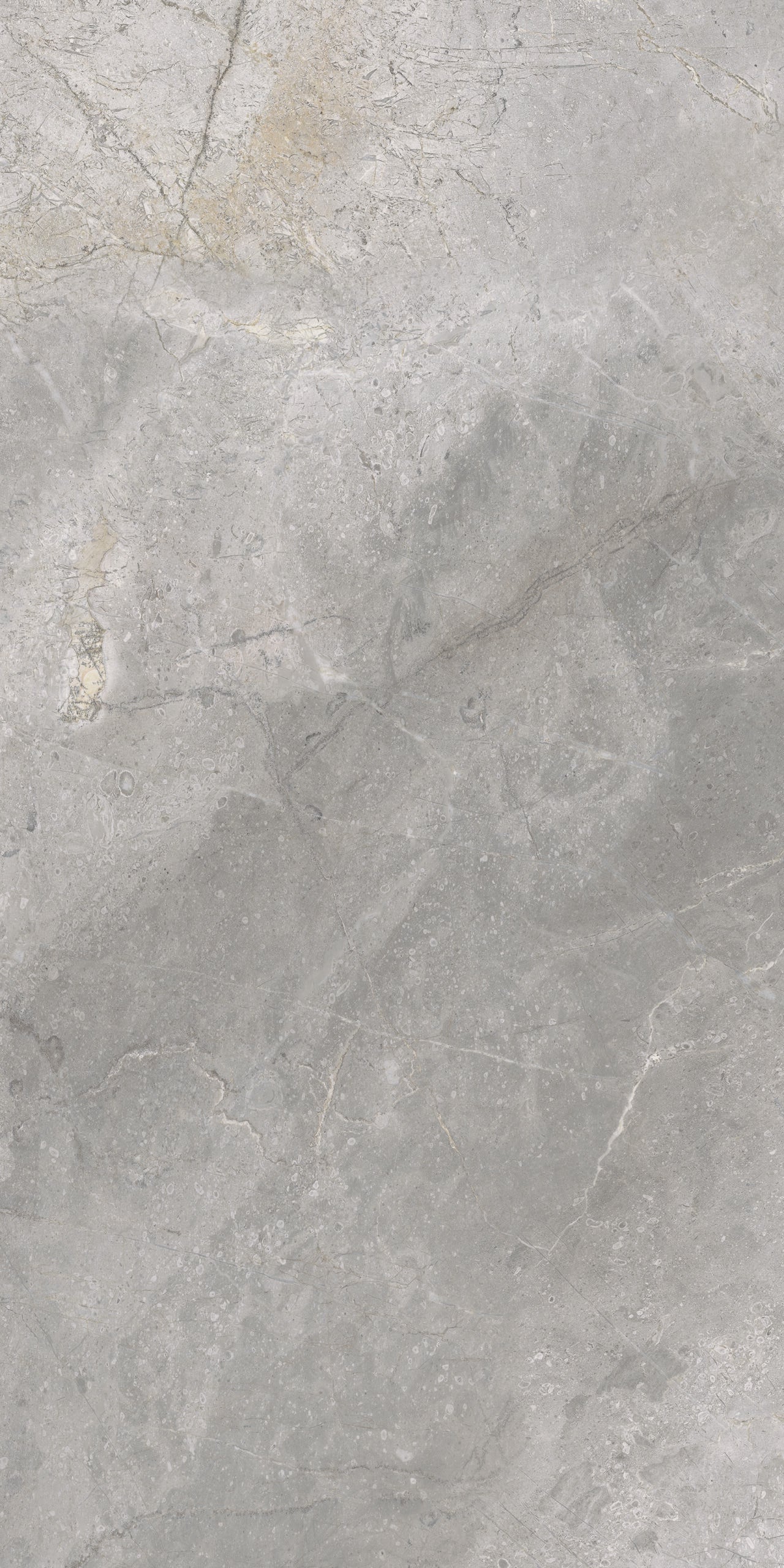 Masterstone Silver 60x120 rect