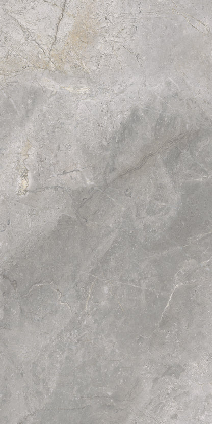 Masterstone Silver 60x120 rect