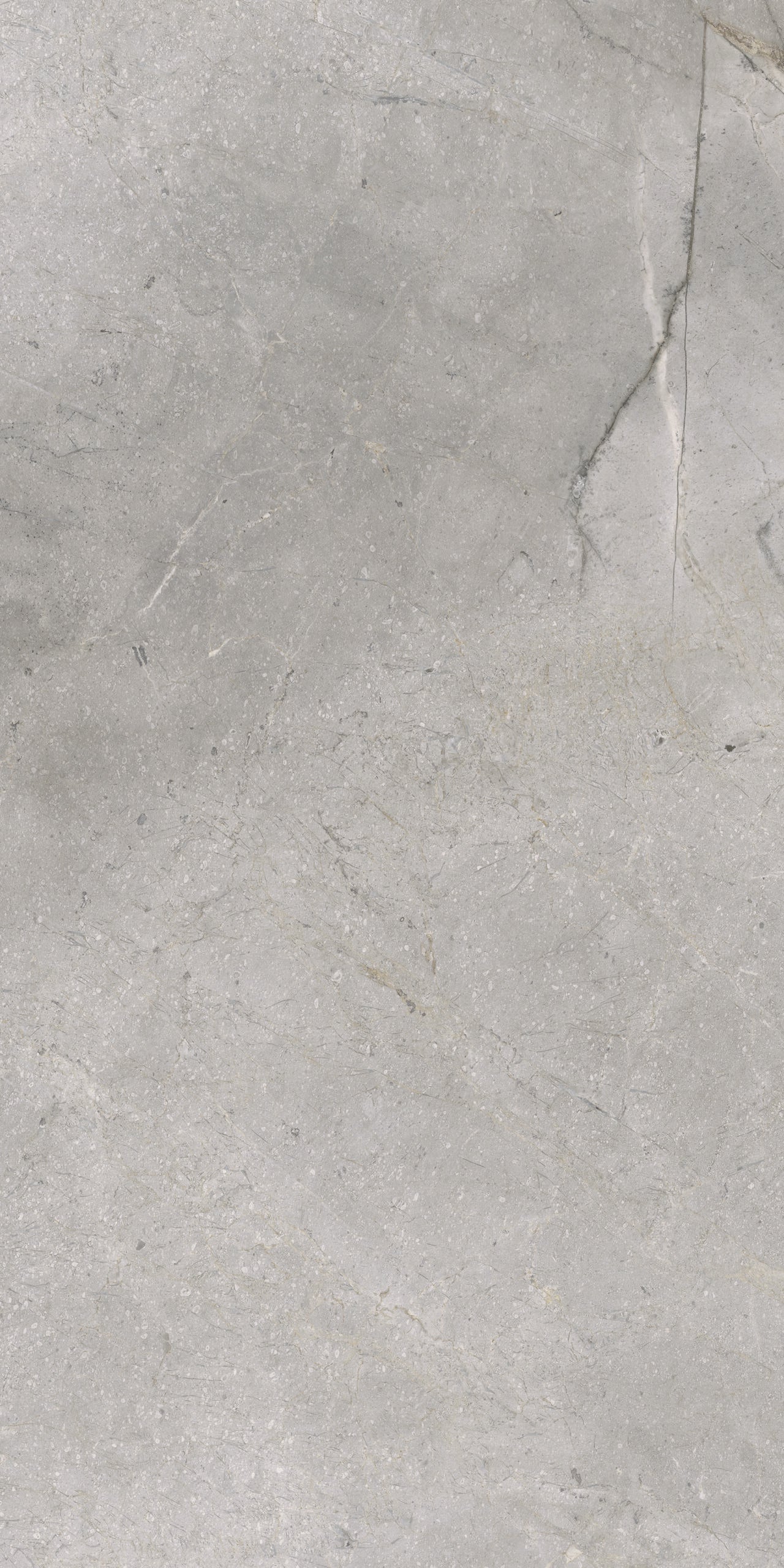 Masterstone Silver 60x120 rect