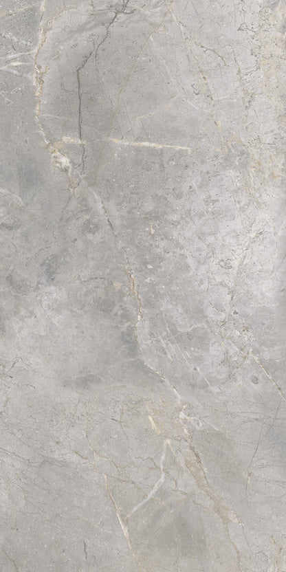 Masterstone Silver 60x120 rect