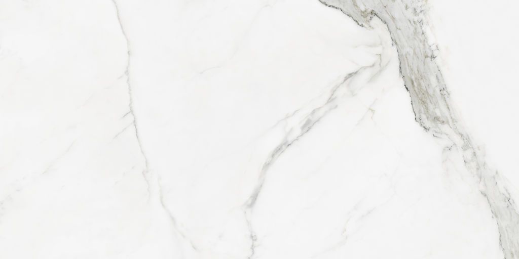 JB10847 Statuario pulido 60x120 rett