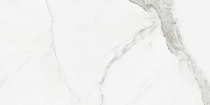 JB10847 Statuario pulido 60x120 rett