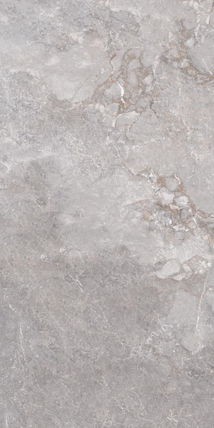 Golden Age Grey 60x120 rett