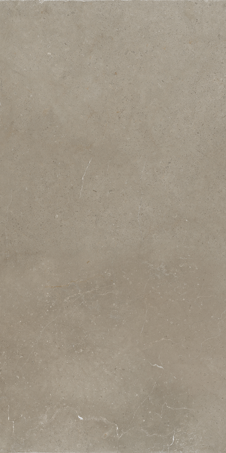 Vloertegel Hollstone Sour 60x120 rett