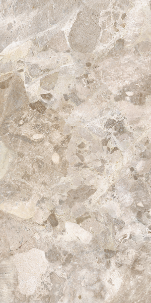 Vloertegel Larocca Natural gepolijst 60x120 rett