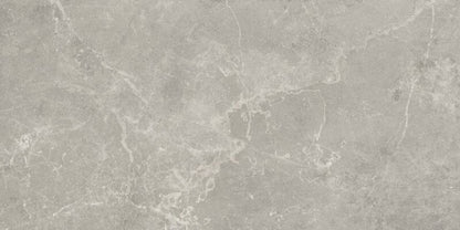 Vloertegel Concept Grey gepolijst 60x120 rett