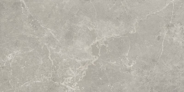 Vloertegel Concept Grey gepolijst 60x120 rett