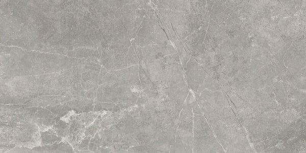 Vloertegel Concept Grey mat 60x120 rett