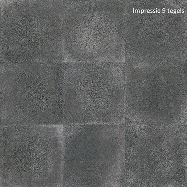 Beton Antraciet 60x60 vloertegels / wandtegels
