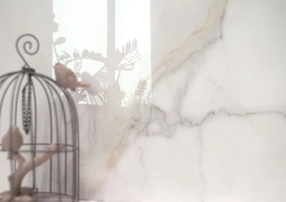 Diamond Gold gepolijst 60x60 vloertegels / wandtegels