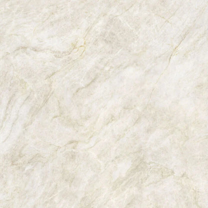 Taj Mahal Nature gepolijst 120x120 rett