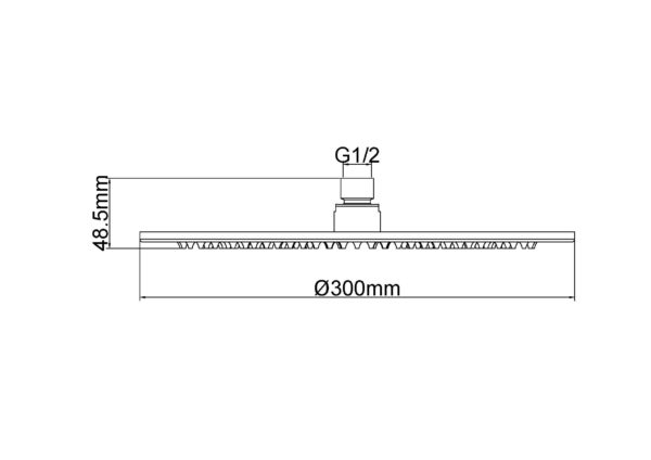 Wiesbaden luxe mess.hoofddouche rond 300mmx8mm geborsteld messing