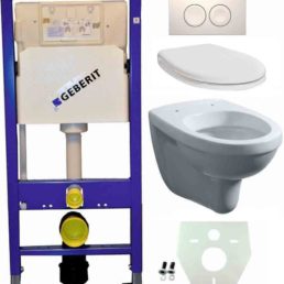 Wiesbaden Geberit UP 100 +Trevi wc+zitt.+ Delta 21 wit