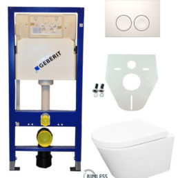 Wiesbaden Geberit UP 100 Vesta Rimless wc+zitt.+ Delta 21 wit