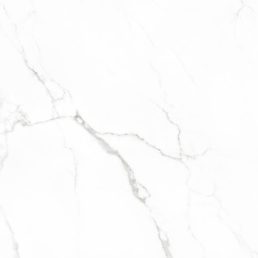 Statuario glans 60x60 rett vloertegels / wandtegels