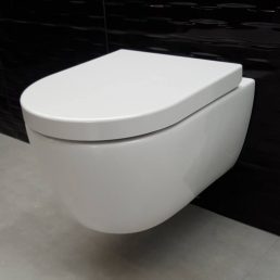 Wandcloset Easy Flush compact