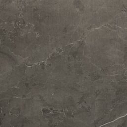 Vloertegel Dover Luxy Poli 60x60 rect