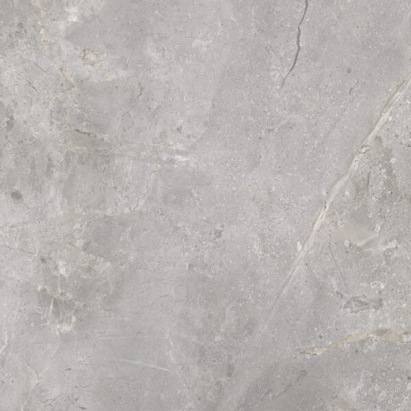 Vloertegel Masterstone silver 60x60 rect