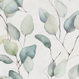 Wandtegel Alure White Lipra decor 25x50